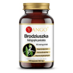Yango Brodziuszka – Andrographis 90 kapslit