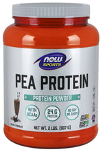Pea Protein, Dutch Chocolate - 907 grams - NOW Foods