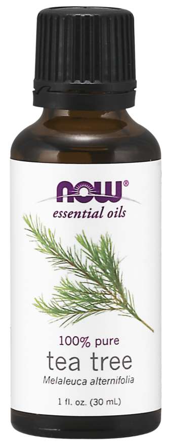 Essential Oil, Tea Tree Oil - 30 ml. - NOW Foods