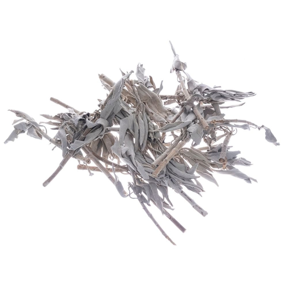 Bilovit - Valge salvei lehed 100 g / Bilovit Valge salvei lehed - 100 g