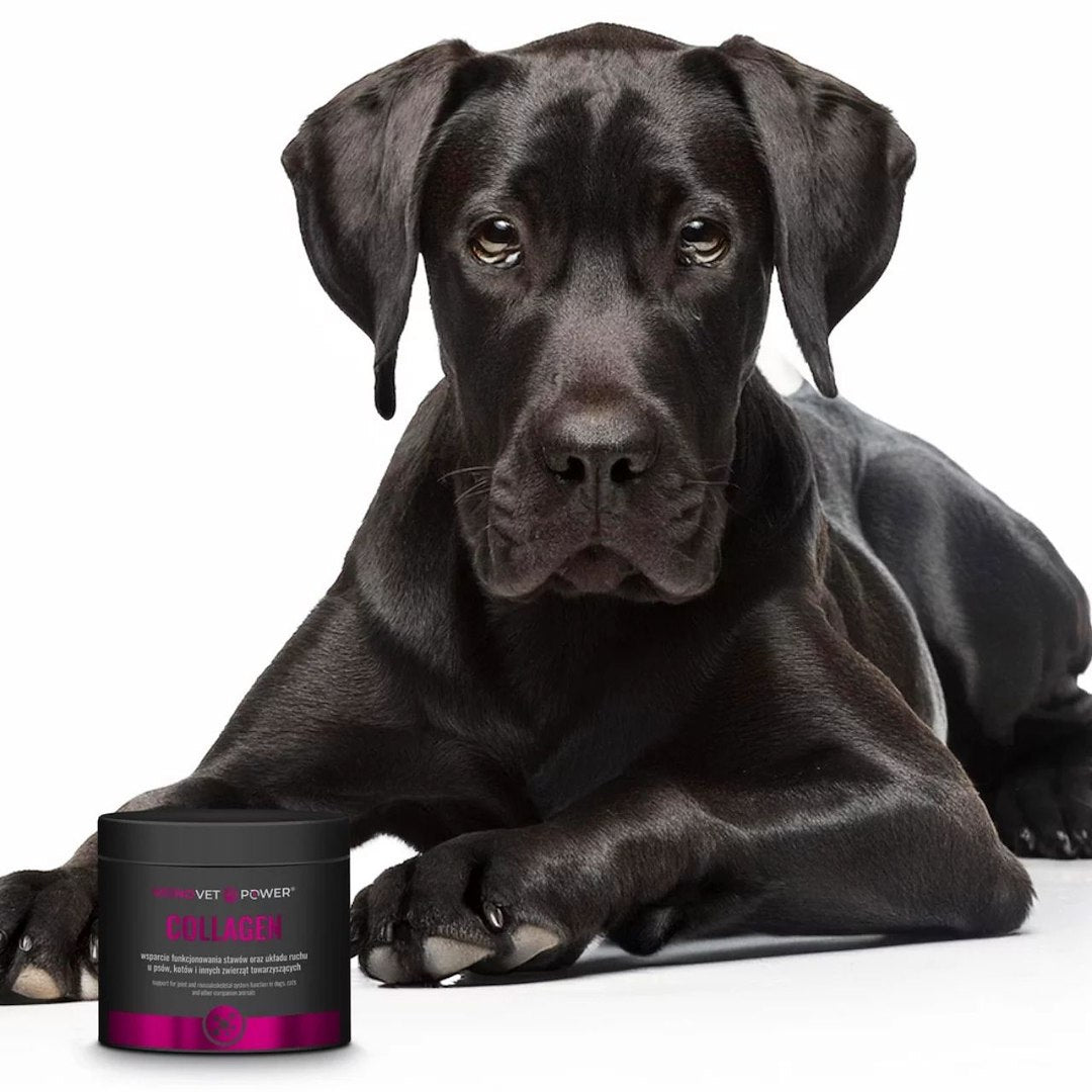 JM Sante Monovet Power Collagen – 120 g
