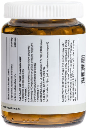 Wellbear Lion's Mane (sophora konnõõri) 500 mg – 60 kapslit