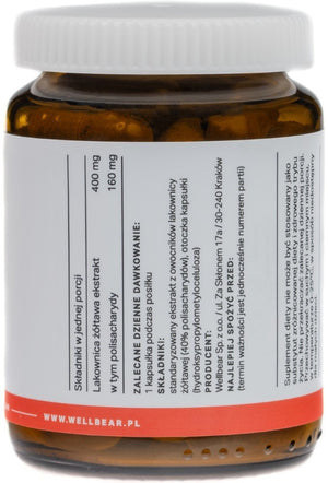 Wellbear Reishi (läikvaabik) 400 mg – 60 kapslit