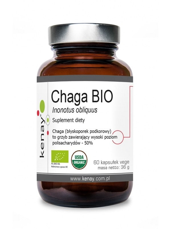 KENAY EKO Chaga 60 kaps.
