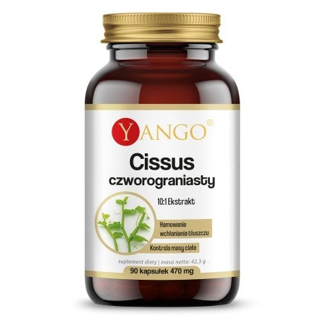 Yango Cissus Quadratus – ekstrakt 10:1 90 kaps.