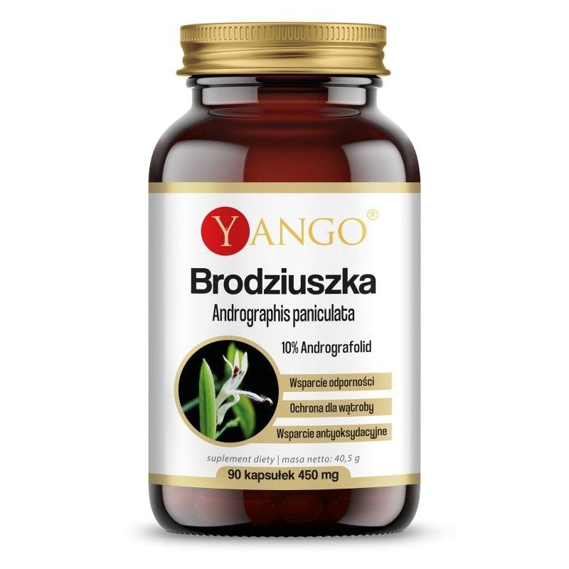 Yango Brodziuszka – Andrographis 90 kapslit