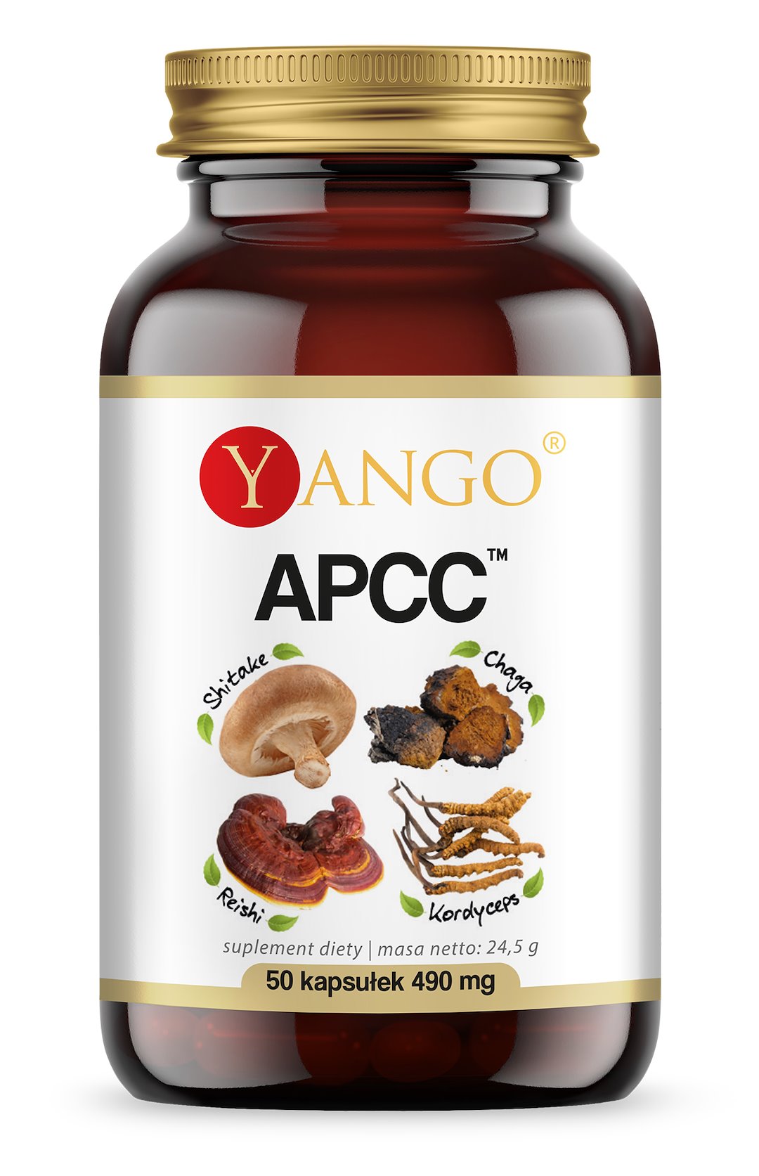 Yango APCC – reishi, korditseps, shiitake, tšaga 50 kapslit