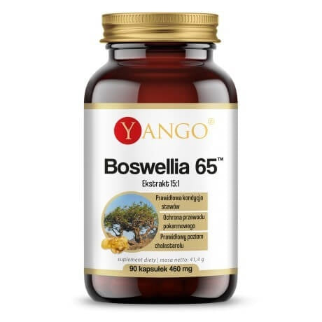 Yango Boswellia 65 90 kapslit