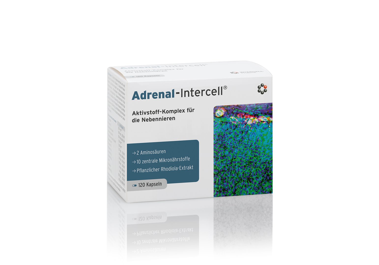 INTERCELL PHARMA Neerupealised-Intercell 120 kapslit