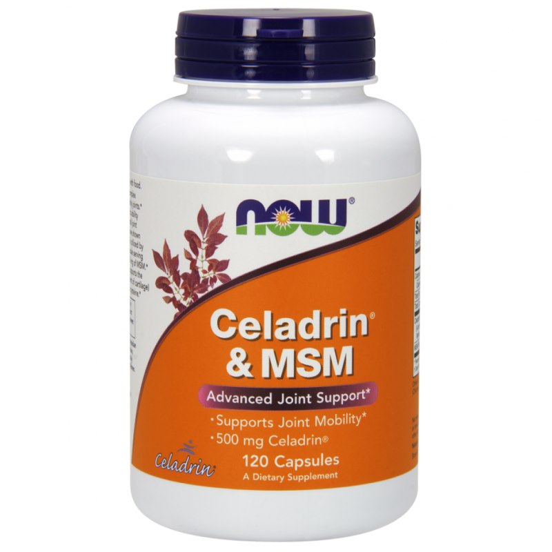 NOW FOODS Celadrin 500 mg ja MSM 100 mg 120 kapslit
