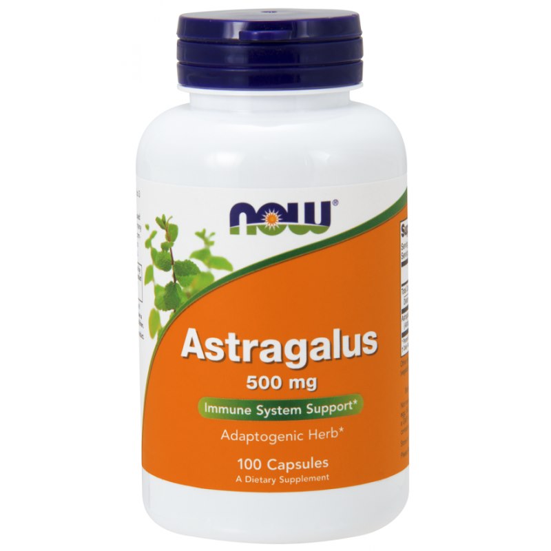 NOW FOODS Astragalus - Astragalus 500 mg 100 kaps.