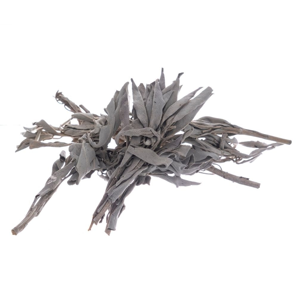 Bilovit - Valge salvei lehed 50g / Bilovit Valge salvei lehed - 50 g