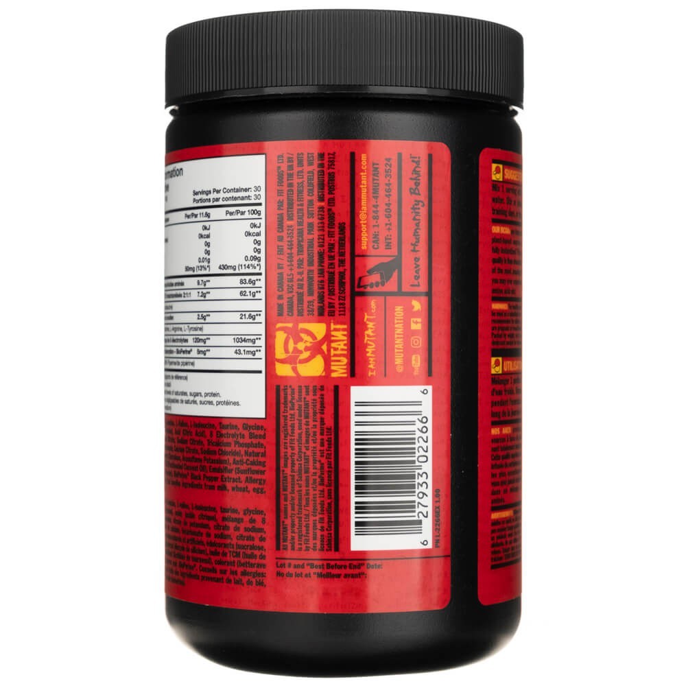 PVL BCAA 9,7, puuviljapss - 348 g