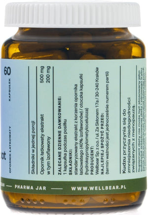 Wellbear Kudzu 500 mg - 60 kapslit