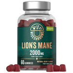 Wiseshrooms Lion's Mane 2000 mg, mėlynių - 60 gelių - Magnis.lt